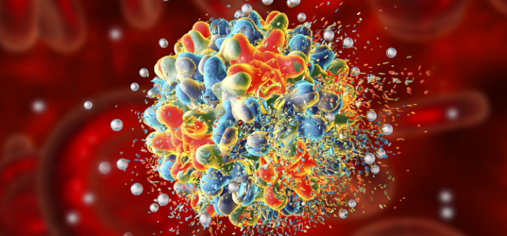 GeneProof Hepatit B Virüsü (HBV) PCR Kiti