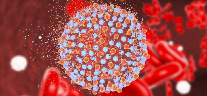 GeneProof Hepatit C Virüsü (HCV) Tanı PCR Kiti