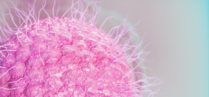 GeneProof Varicella-Zoster Virüsü (VZV) PCR Kiti - (IVDR)