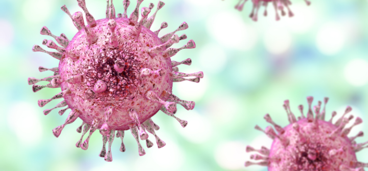 GeneProof İnsan Herpes Virüsü 6/7 (HHV-6/7) PCR Kiti - (IVDR)