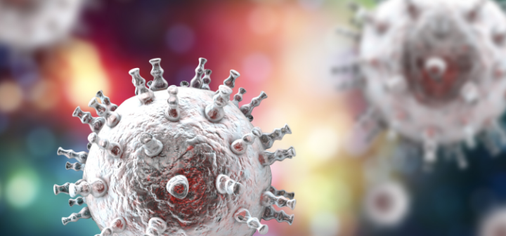 GeneProof İnsan Herpes Virüsü 8 (HHV-8) PCR Kiti - (IVDR)