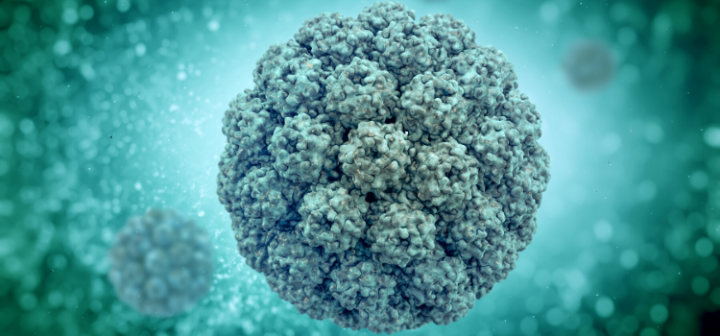 GeneProof BK/JC Virüsü (BK/JC) PCR Kiti