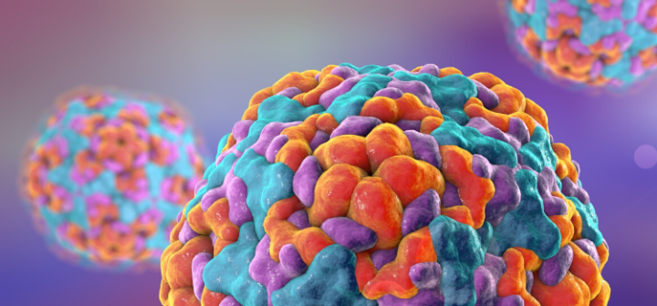 GeneProof Enterovirüs PCR Kiti