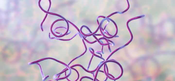 GeneProof Borrelia PCR Kiti