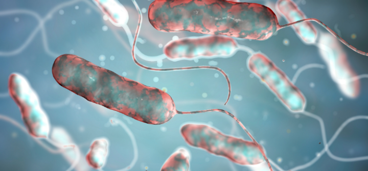GeneProof Legionella pneumophila PCR Kiti