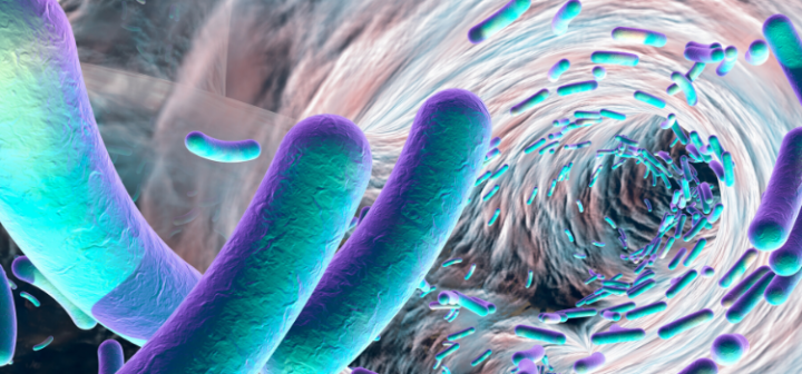 GeneProof Mycobacterium tuberculosis PCR Kiti