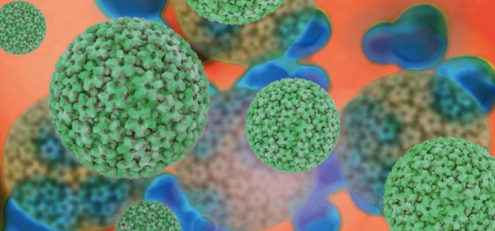 GeneProof İnsan Papilloma Virüsü (HPV) Tarama PCR Kiti