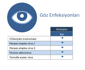 Göz Enfeksiyonları
