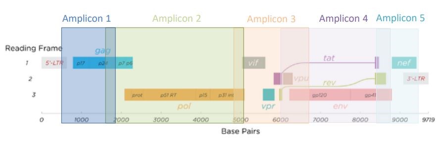 DeepChek<sup>&reg;</sup> Assay Tüm Genom HIV-1 Genotiplendirme