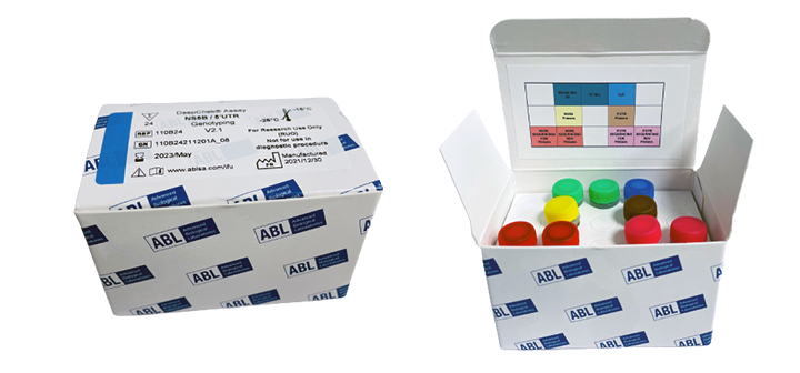 DeepChek<sup>&reg;</sup> Assay NS5B / 5’UTR Genotiplendirme
