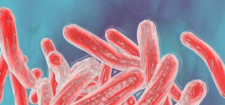 DeepChek<sup>&reg;</sup> Testi 13-Plex KB İlaç Duyarlılık Testi