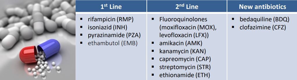 SANGER Dizileme için (Viroscore® CE-IVD)
