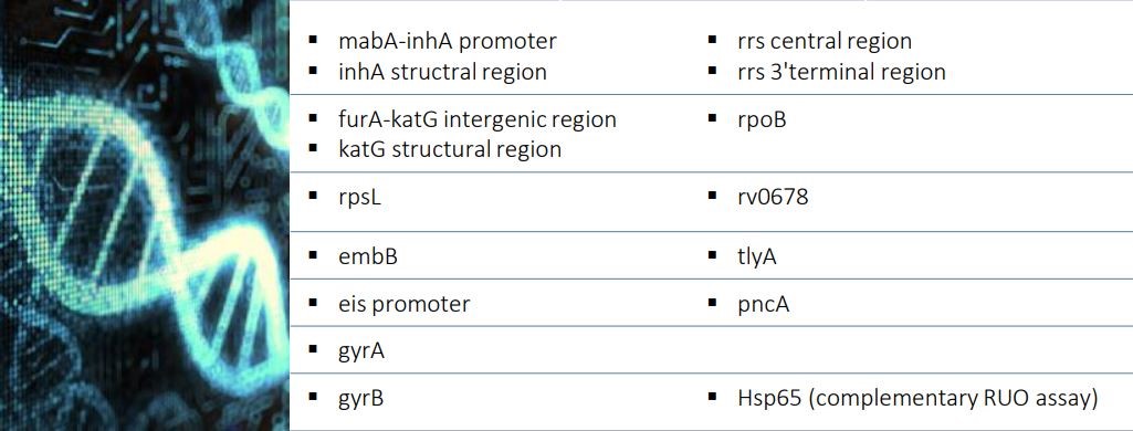SANGER Dizileme için (Viroscore® CE-IVD)