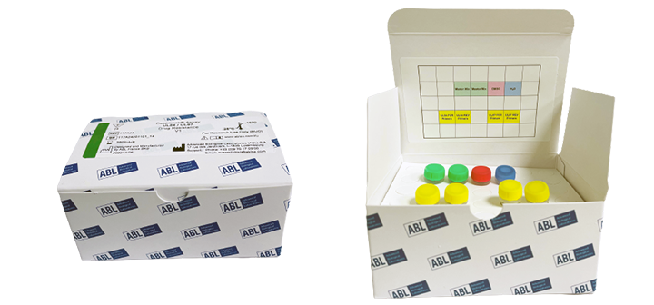 DeepChek<sup>&reg;</sup> Assay UL54 / UL56 / UL97 İlaç Direnci