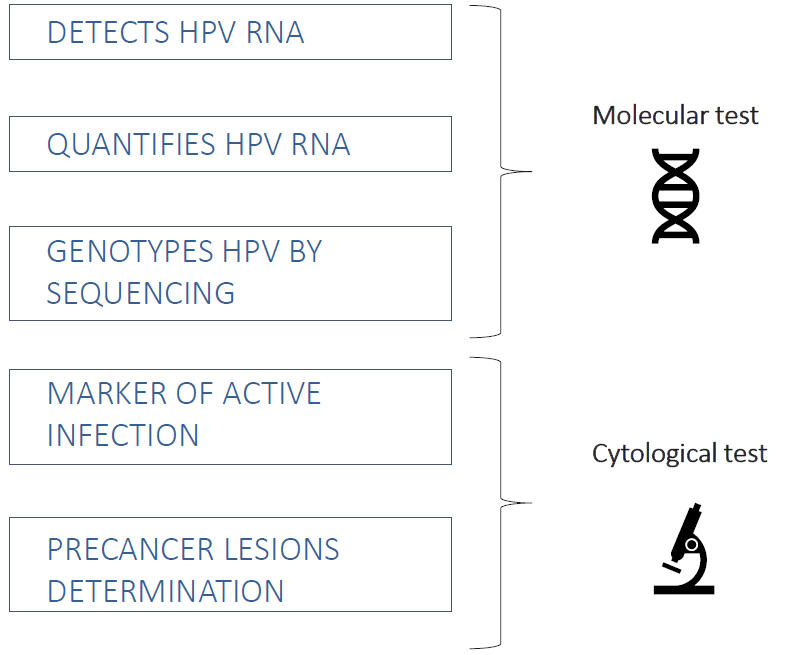 DeepChek<sup>&reg;</sup> Assay HPV haberci RNA Genotiplendirme (RUO)