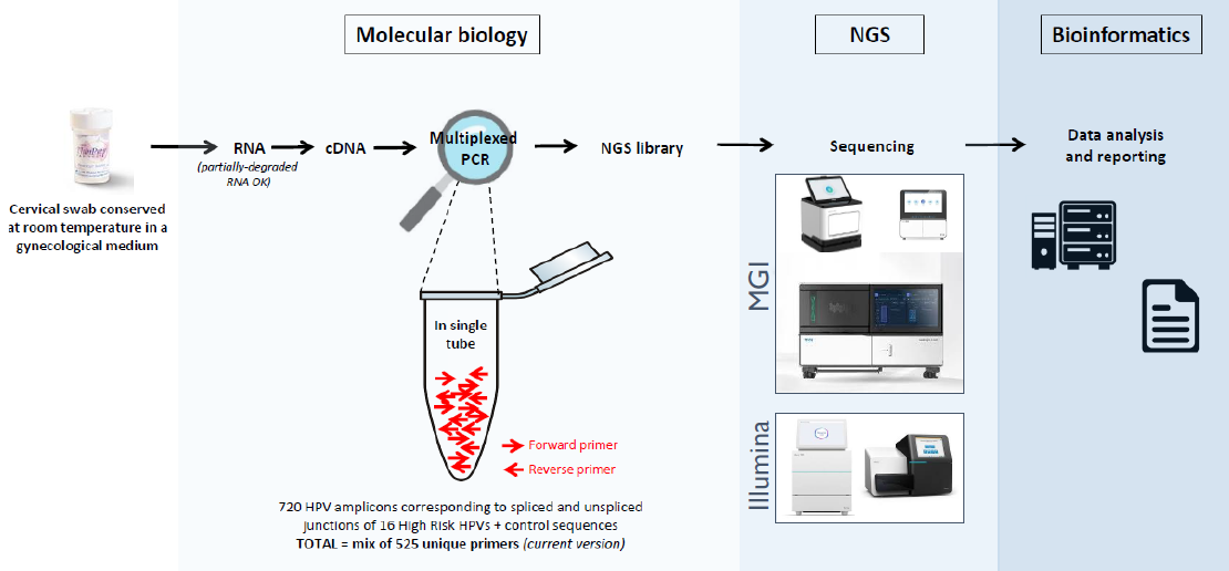 DeepChek<sup>&reg;</sup> Assay HPV haberci RNA Genotiplendirme (RUO)
