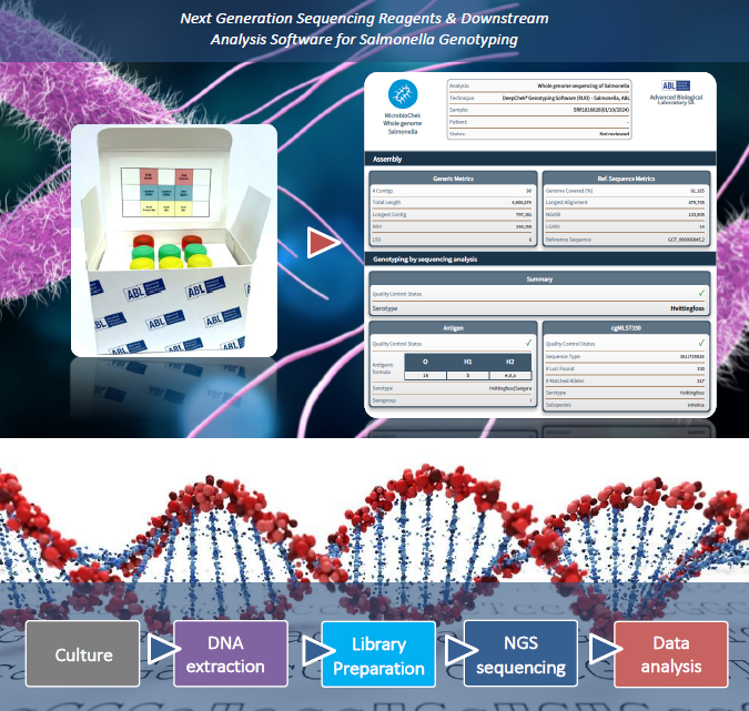 Salmonella Genotiplendirme