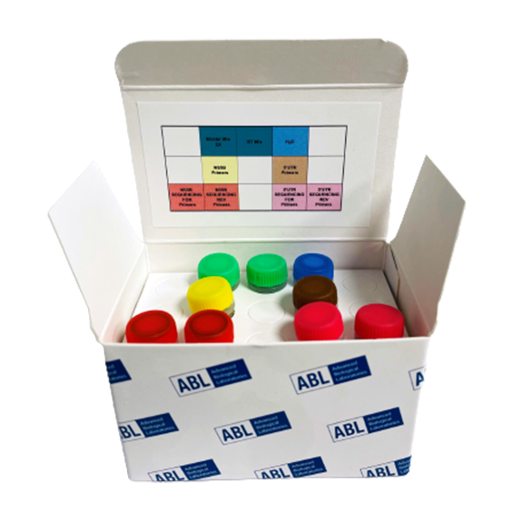 DeepChek<sup>&reg;</sup> Assay NS5B / 5’UTR Genotiplendirme