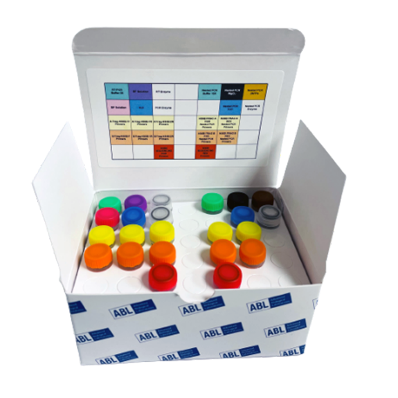 DeepChek<sup>&reg;</sup> Assay NS5B Genotiplendirme ve İlaç Direnci (DR)